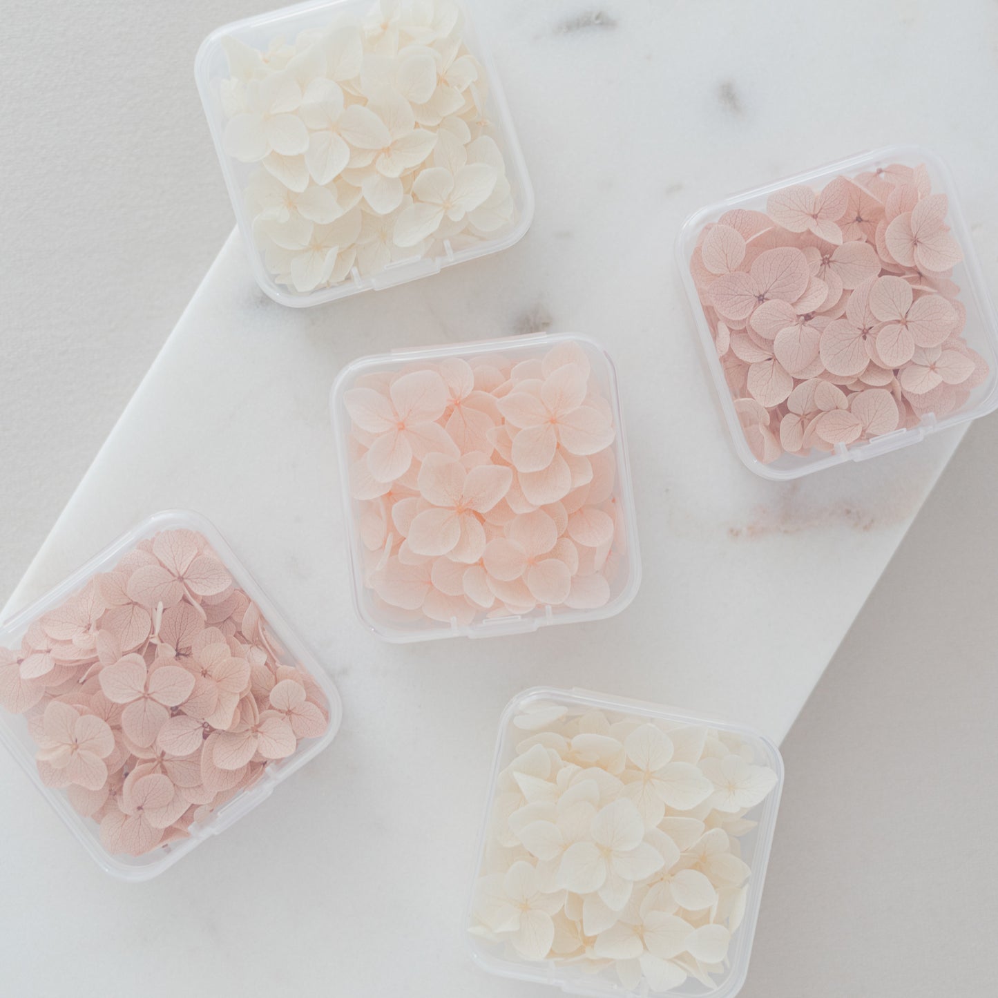 ✧ 50% OFF ✧ Dried Hydrangea Petals, 32 Colours