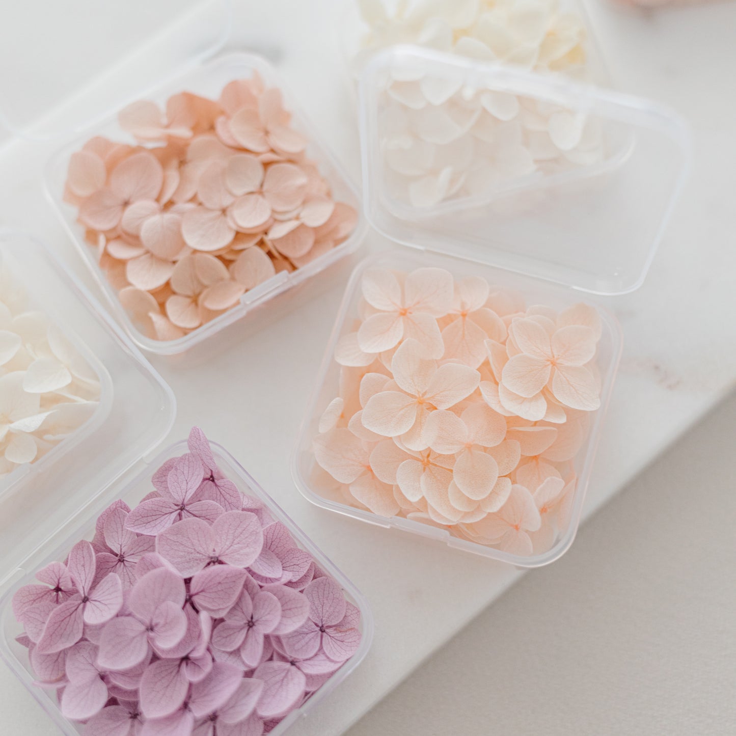 ✧ 50% OFF ✧ Dried Hydrangea Petals, 32 Colours