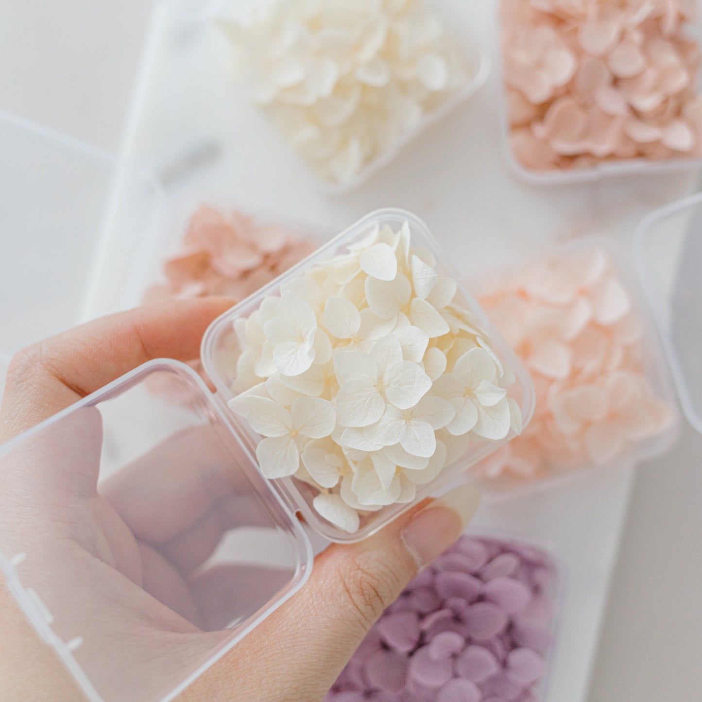 ✧ 50% OFF ✧ Dried Hydrangea Petals, 32 Colours