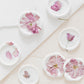 ✧ SALE ✧ Dried Cherry Blossoms