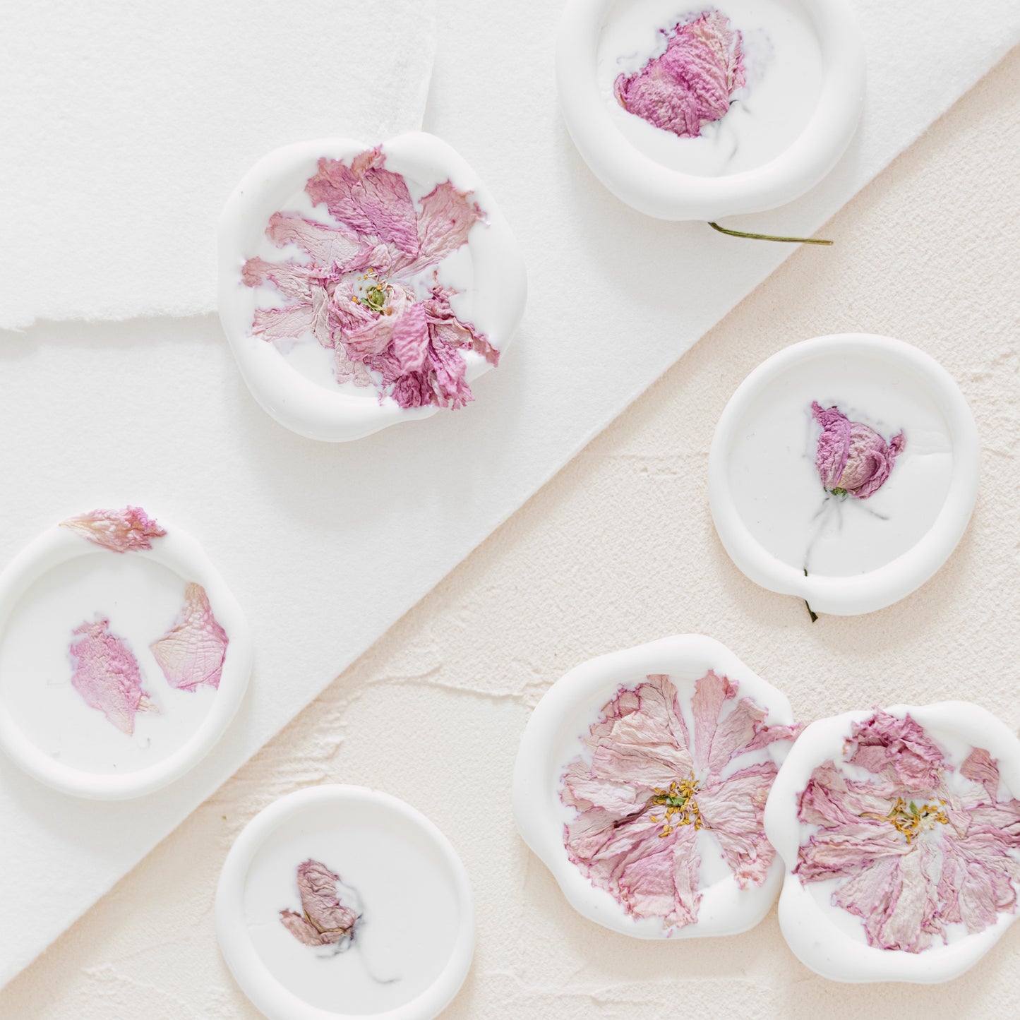 ✧ SALE ✧ Dried Cherry Blossoms