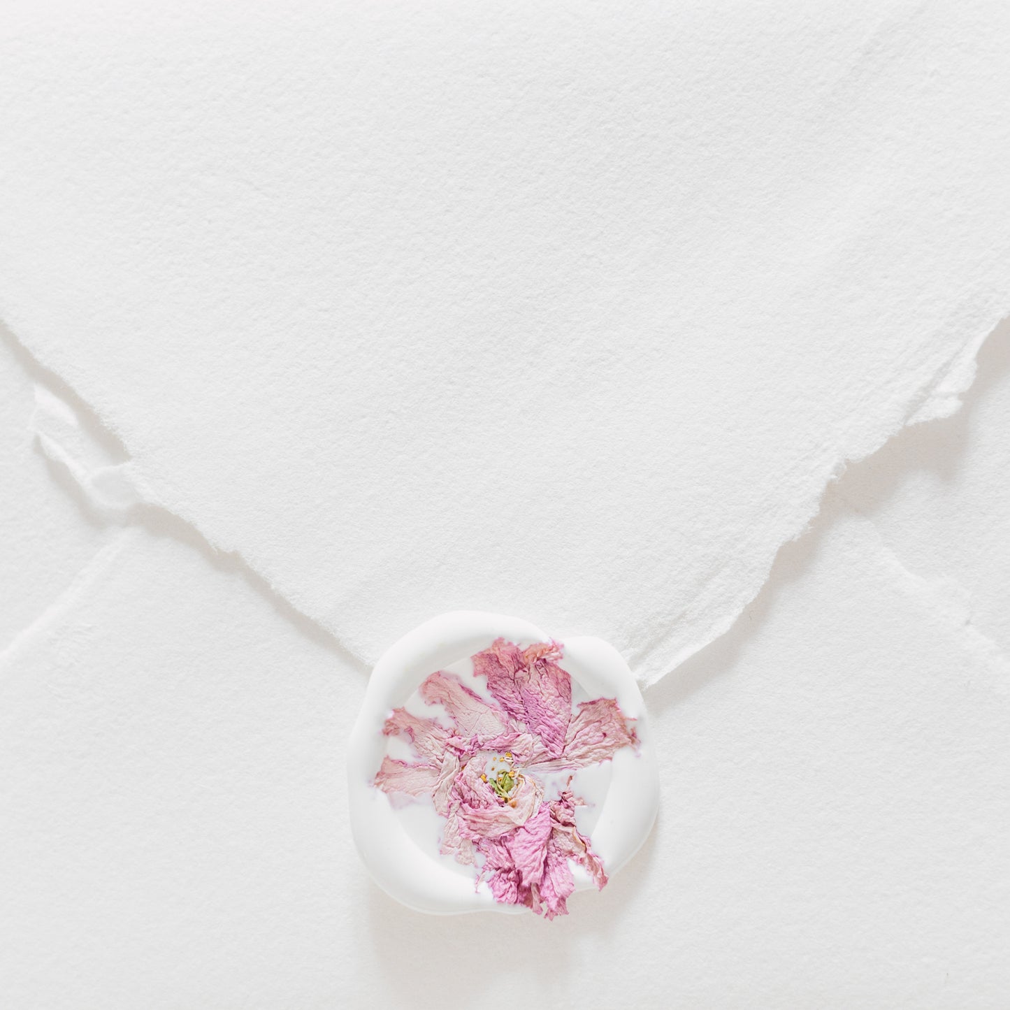 ✧ SALE ✧ Dried Cherry Blossoms