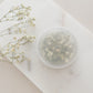 Dried Baby's Breath (Gypsophila)