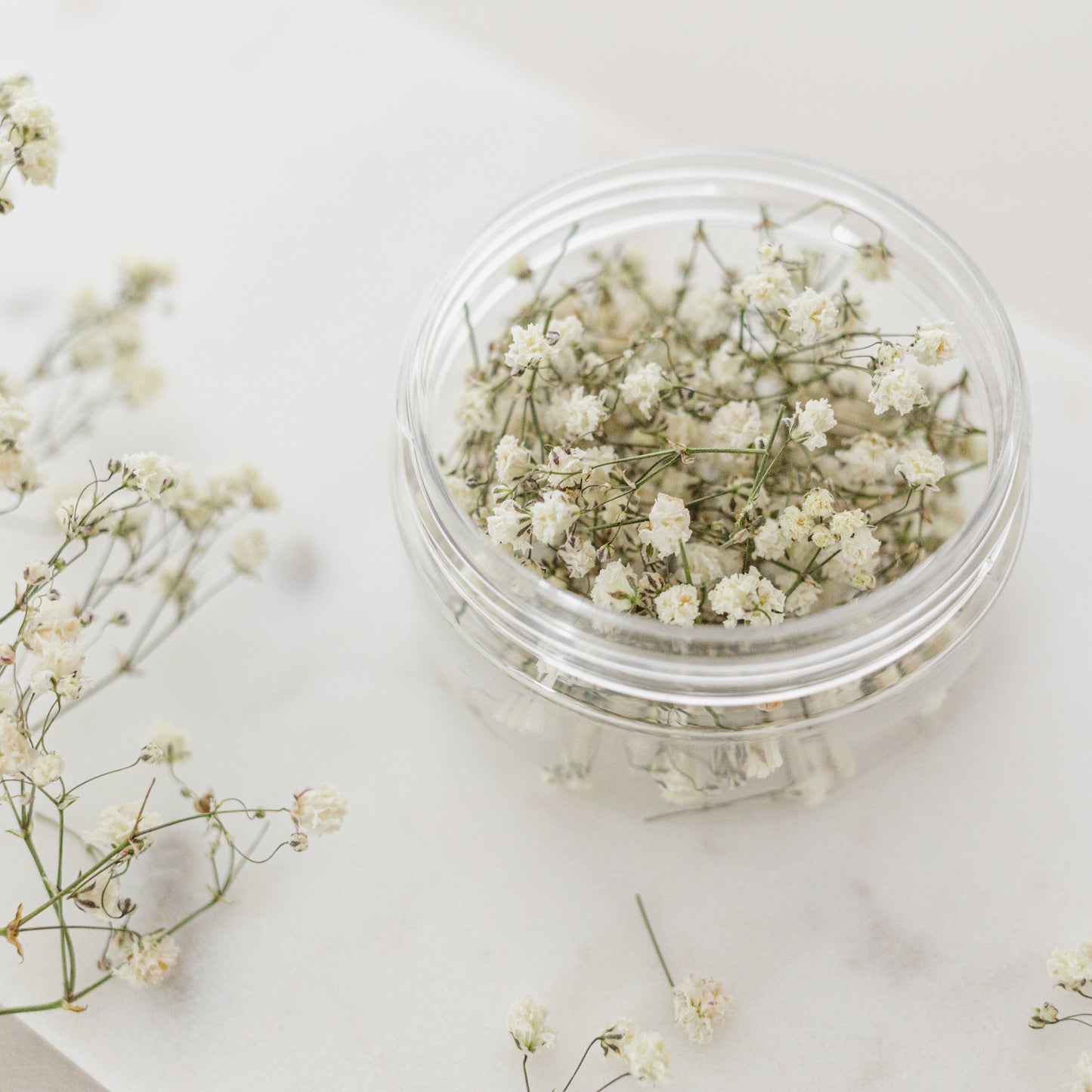 Dried Baby's Breath (Gypsophila)