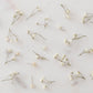 Dried Baby's Breath (Gypsophila)