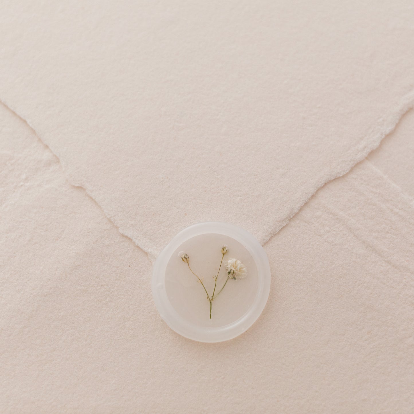 Baby's Breath (Gypsophila) Vellum Seals