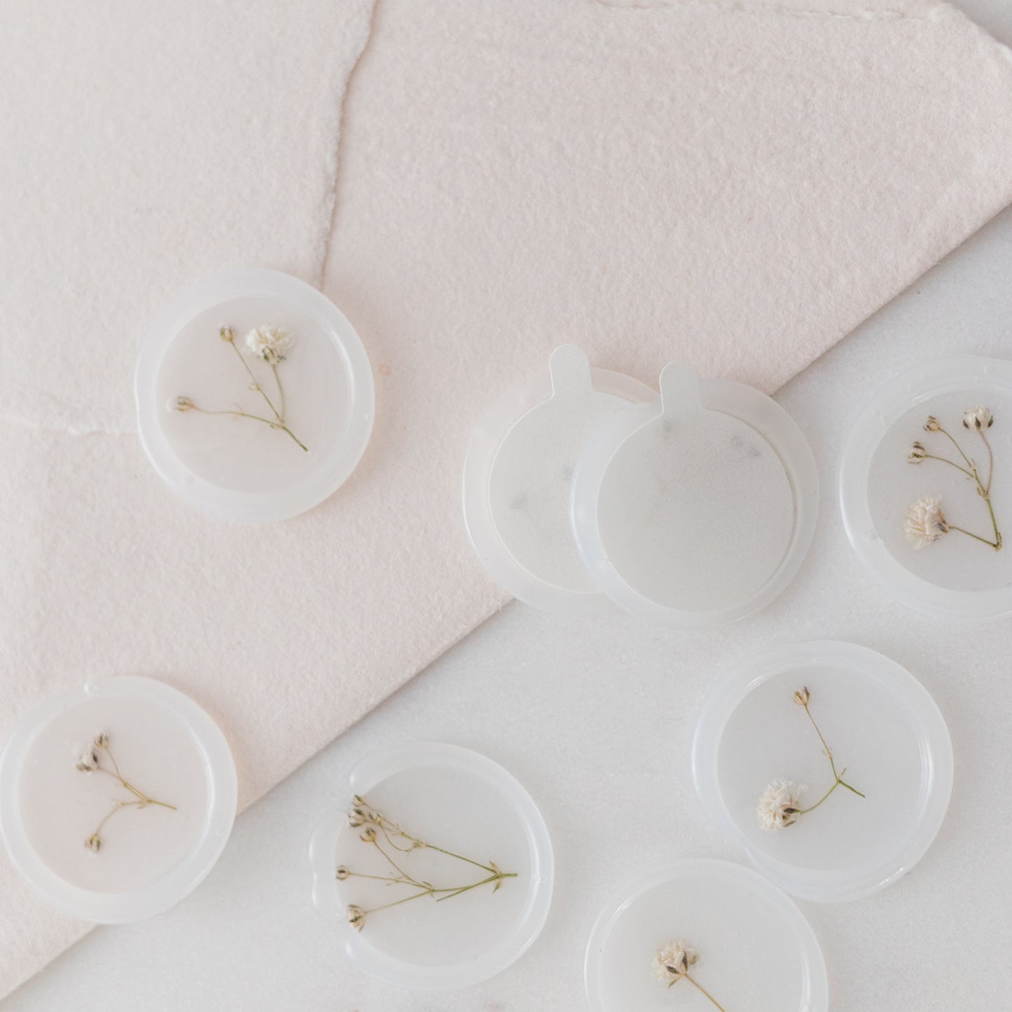 Baby's Breath (Gypsophila) Vellum Seals