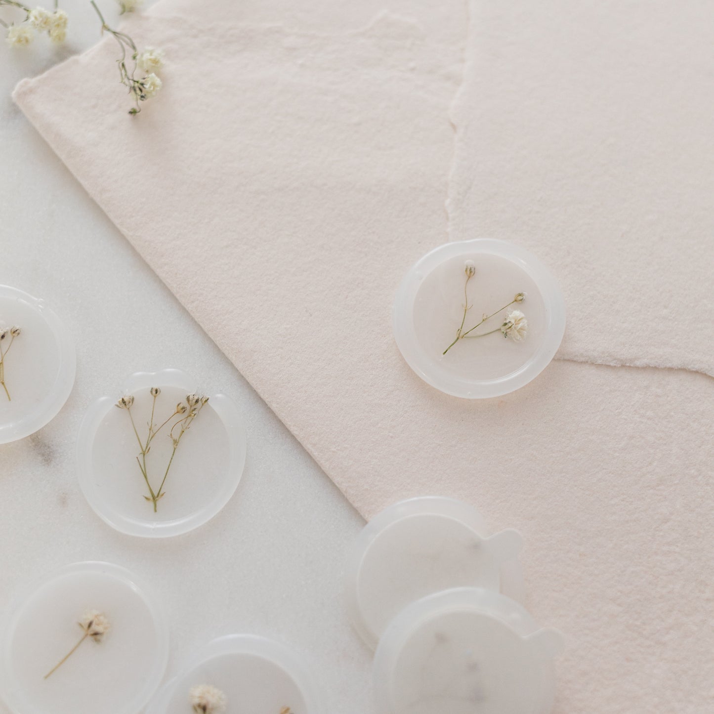 Baby's Breath (Gypsophila) Vellum Seals