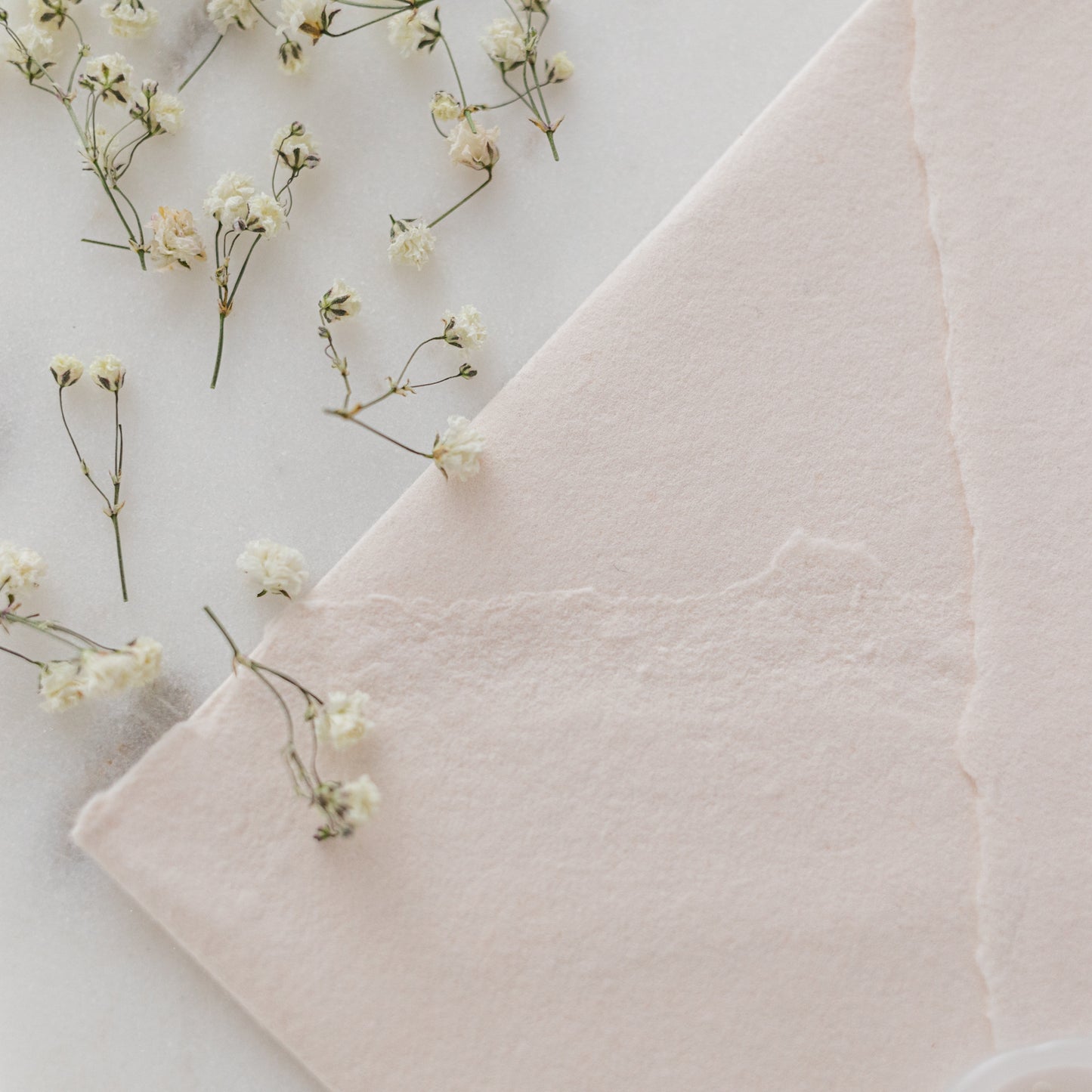 Dried Baby's Breath (Gypsophila)