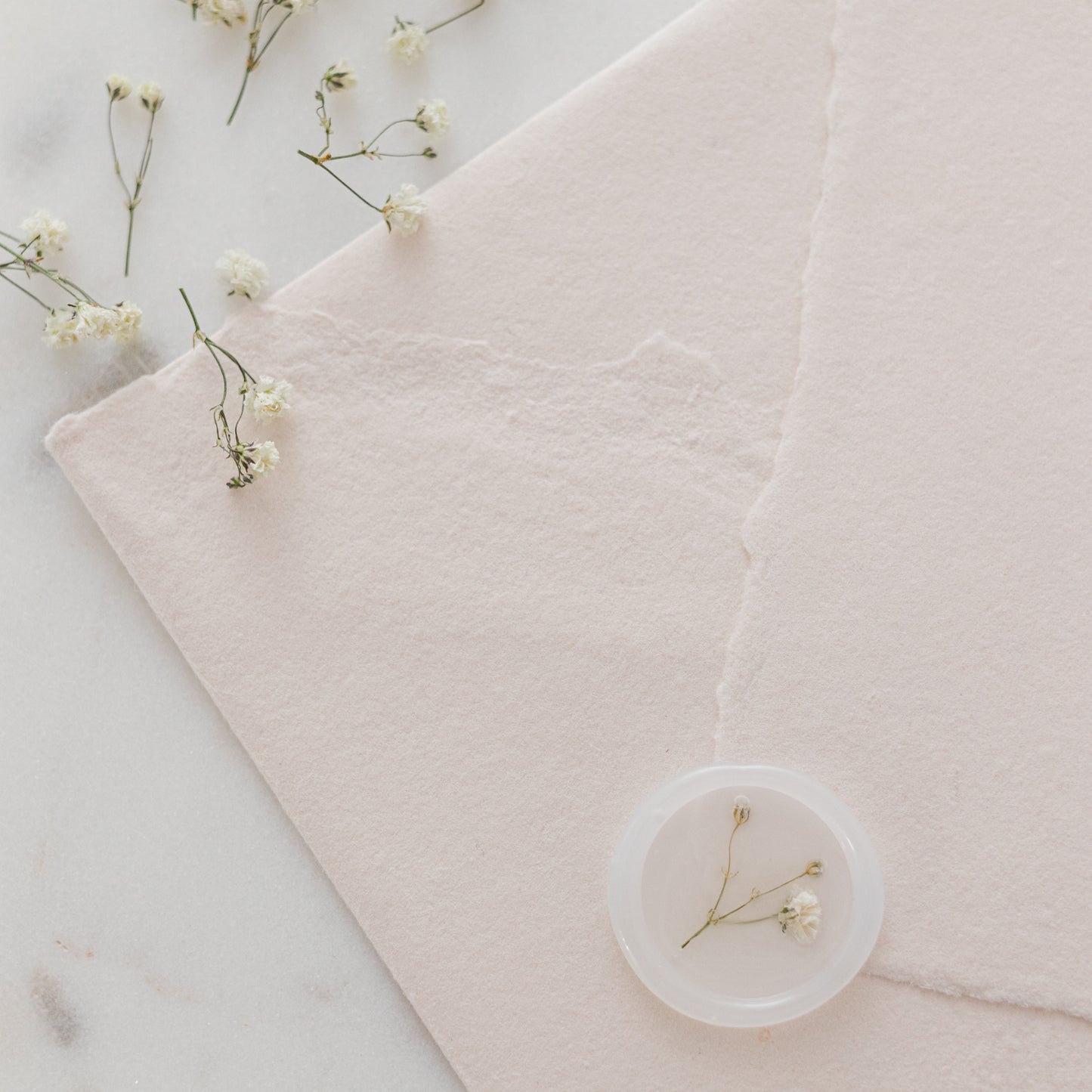 Baby's Breath (Gypsophila) Vellum Seals