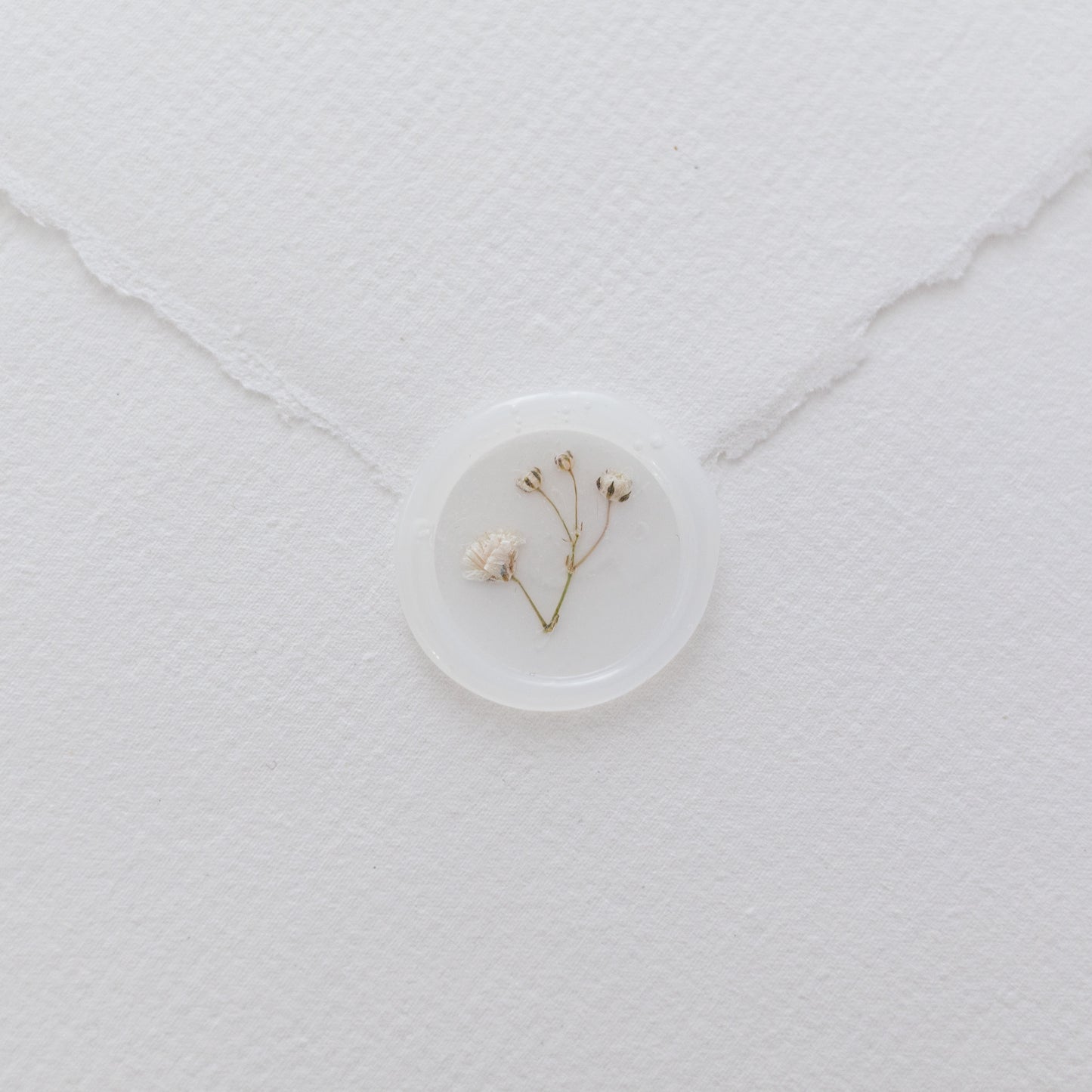 Baby's Breath (Gypsophila) Vellum Seals