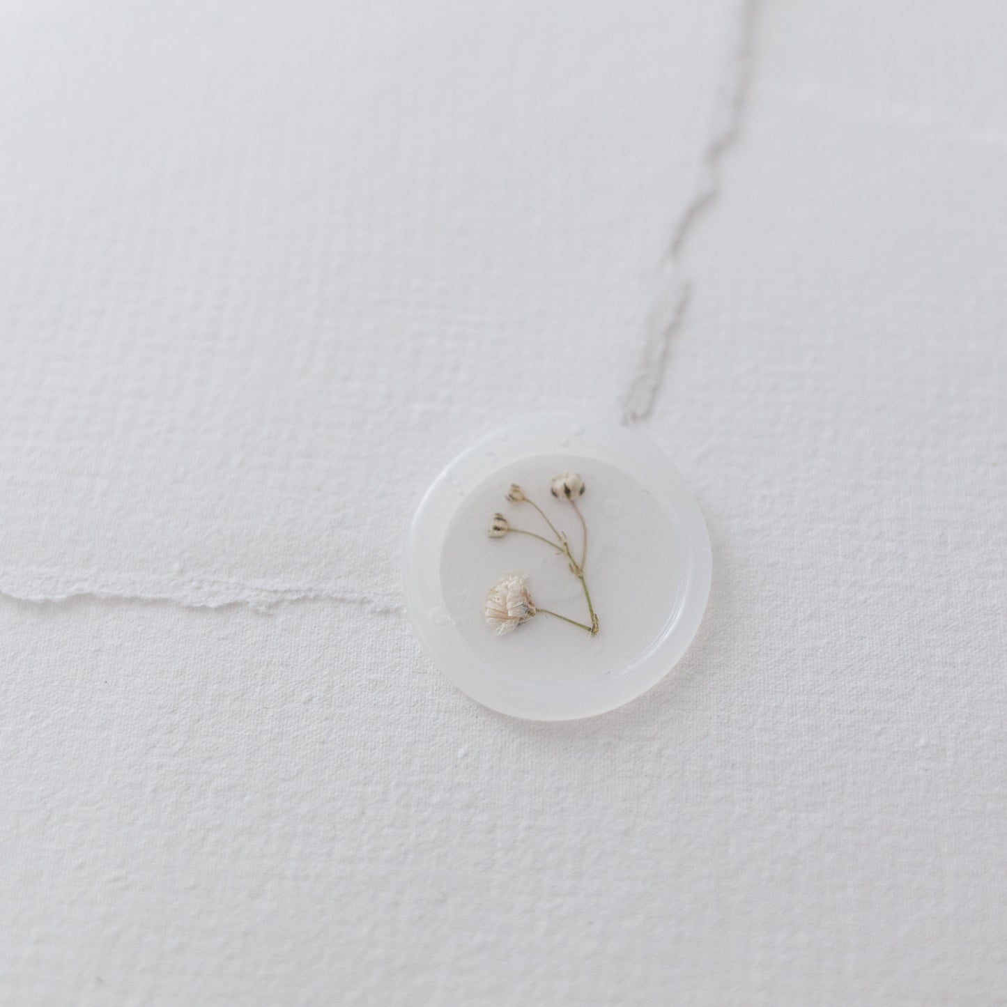 Baby's Breath (Gypsophila) Vellum Seals