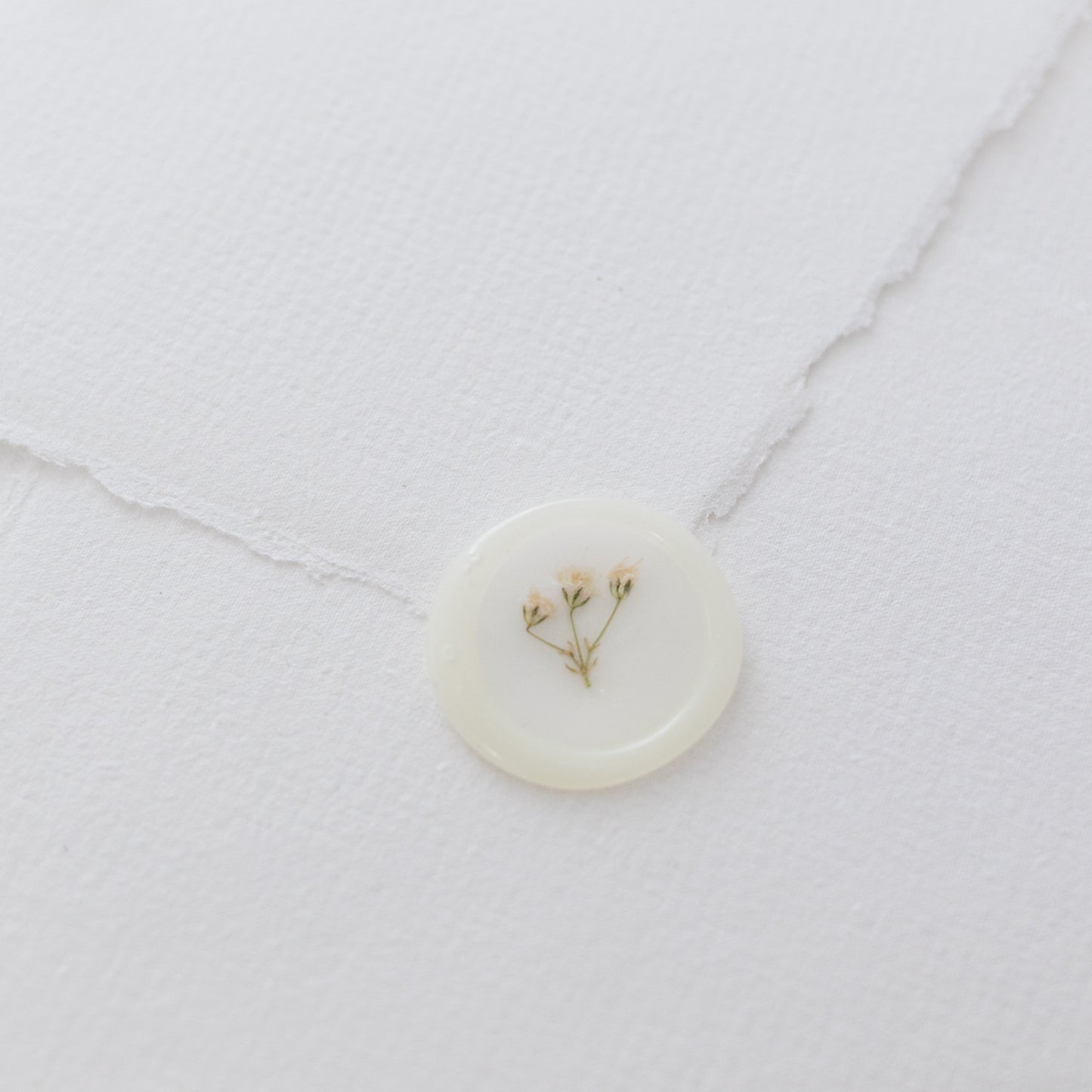 Baby's Breath (Gypsophila) Semi-Transparent Vellum Seals