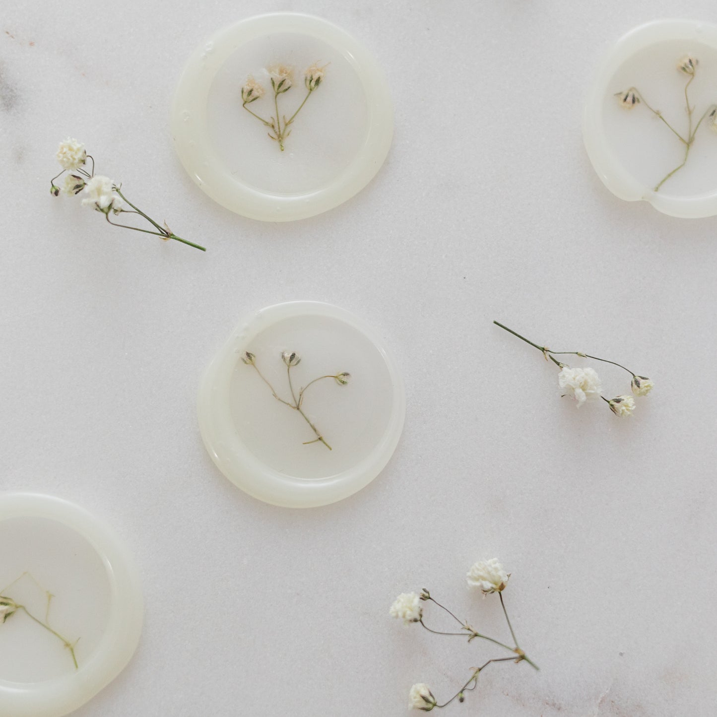Baby's Breath (Gypsophila) Semi-Transparent Vellum Seals