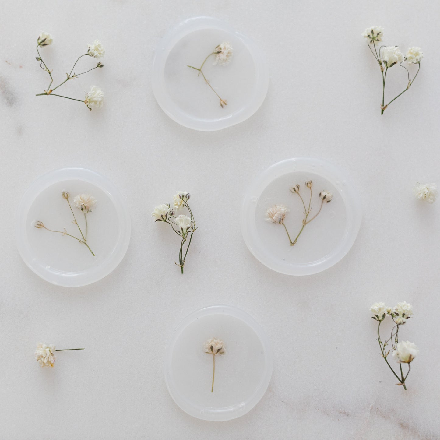 Dried Baby's Breath (Gypsophila)