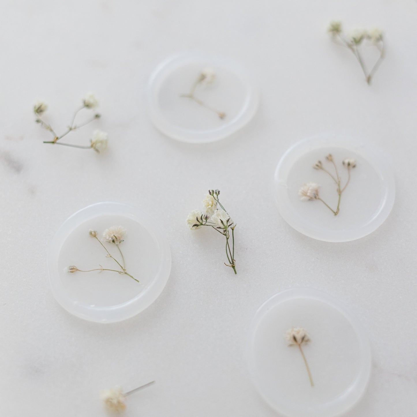 Dried Baby's Breath (Gypsophila)