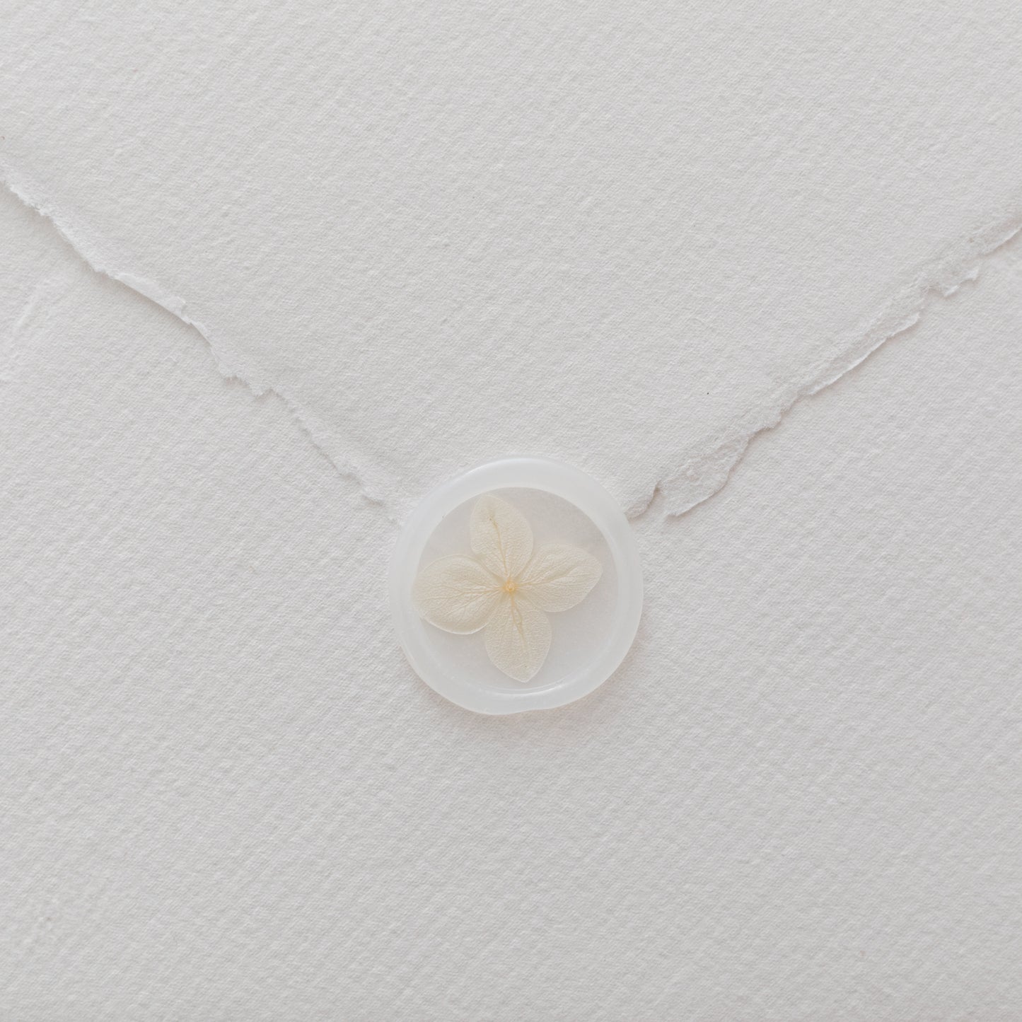 Champagne Hydrangea Vellum Wax Seals