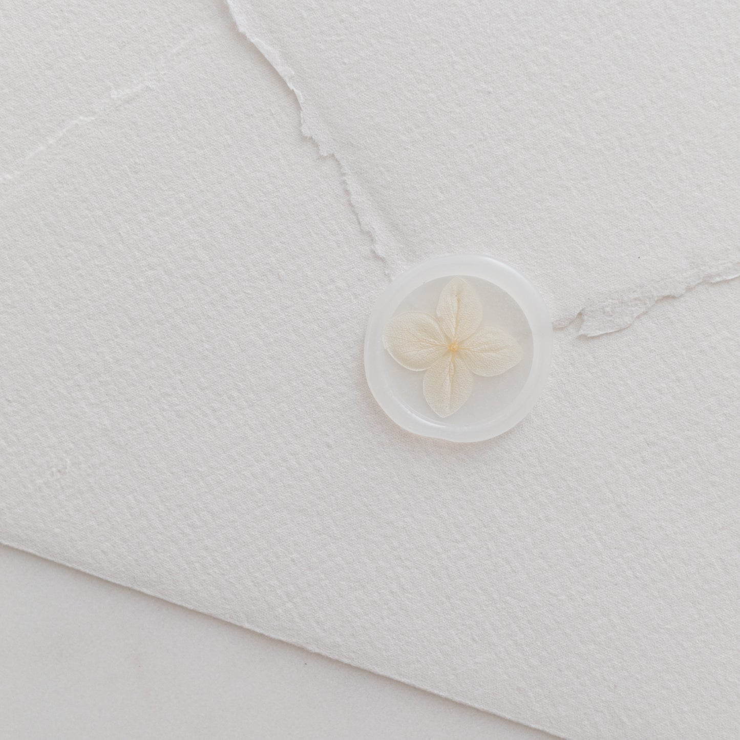 Champagne Hydrangea Vellum Wax Seals