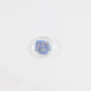 Pressed Forget Me Not, 20 Petals