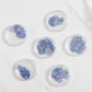 Pressed Forget Me Not, 20 Petals