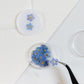 Pressed Forget Me Not, 20 Petals