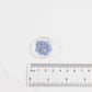 Pressed Forget Me Not, 20 Petals