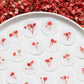 Pink & Red Baby's Breath Vellum Seals