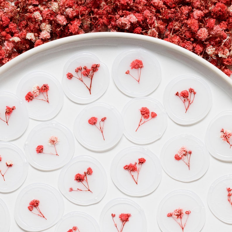 Pink & Red Baby's Breath Vellum Seals