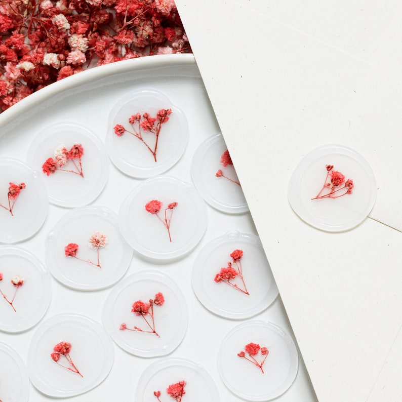 Pink & Red Baby's Breath Vellum Seals