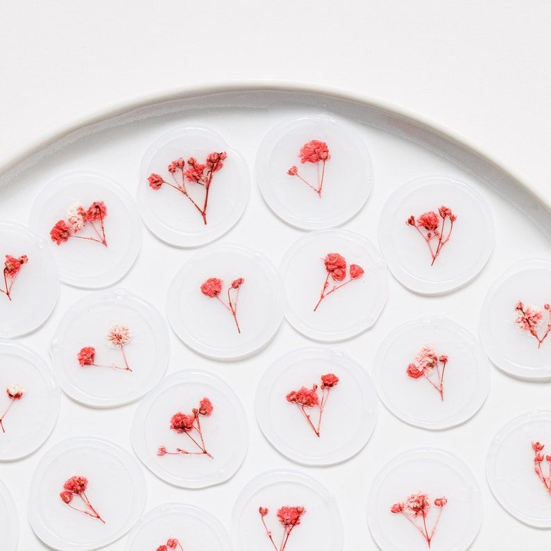 Pink & Red Baby's Breath Vellum Seals