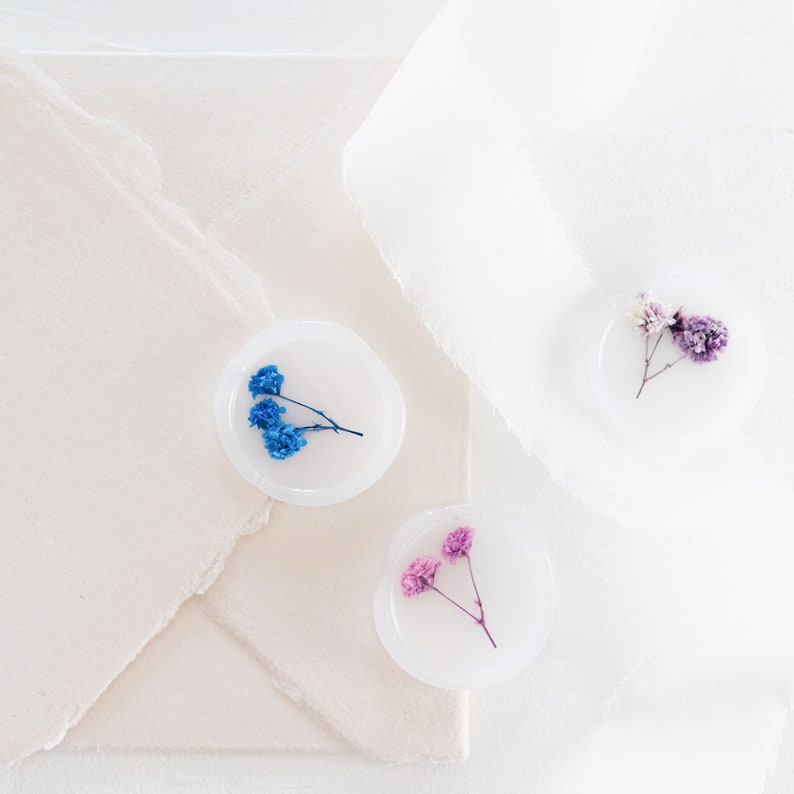Dark Palette Baby's Breath Vellum Seals