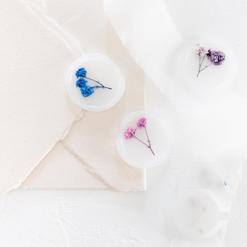 Dark Palette Baby's Breath Vellum Seals