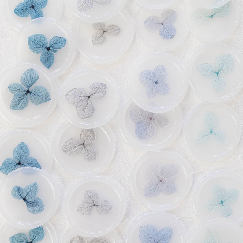 Blue Palette Hydrangea Vellum Seals