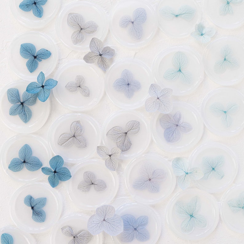 Blue Palette Hydrangea Vellum Seals