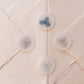 Blue Palette Hydrangea Vellum Seals