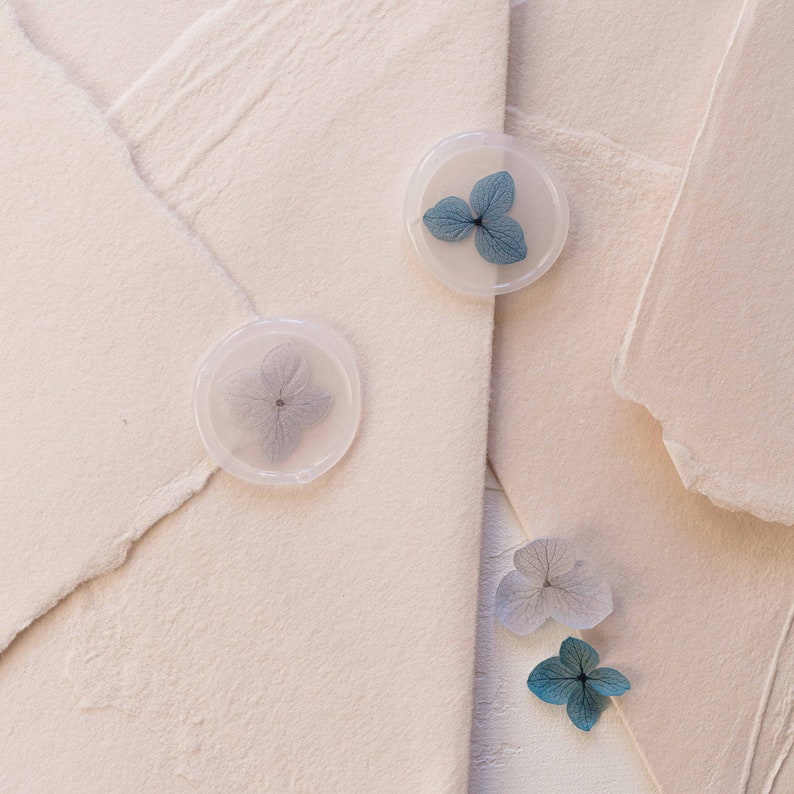 Blue Palette Hydrangea Vellum Seals