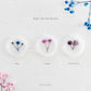 Dark Palette Baby's Breath Vellum Seals