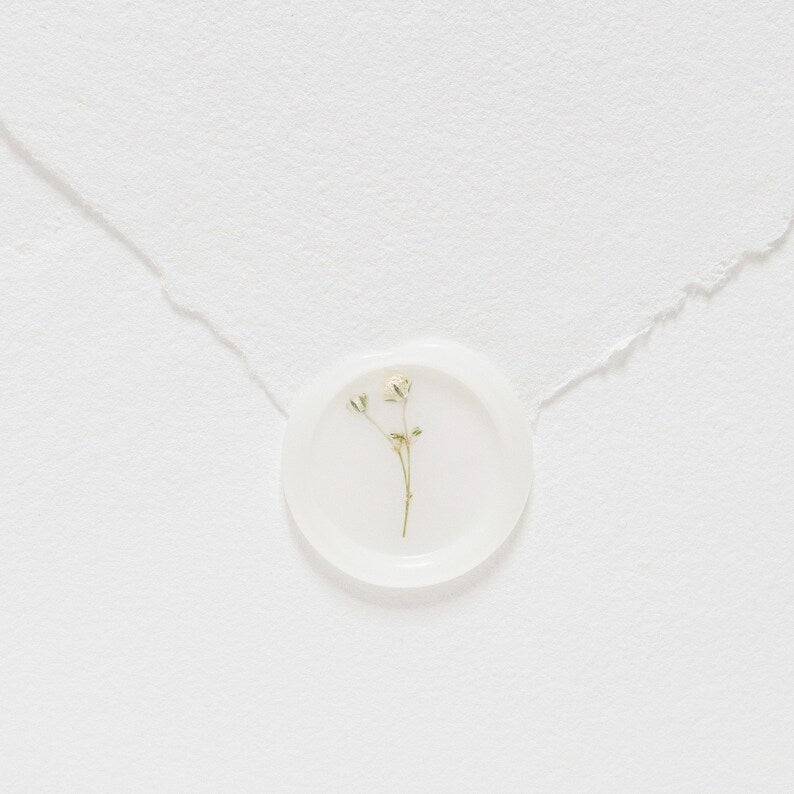 Baby's Breath (Gypsophila) Semi-Transparent Vellum Seals