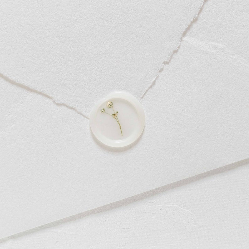 Baby's Breath (Gypsophila) Semi-Transparent Vellum Seals
