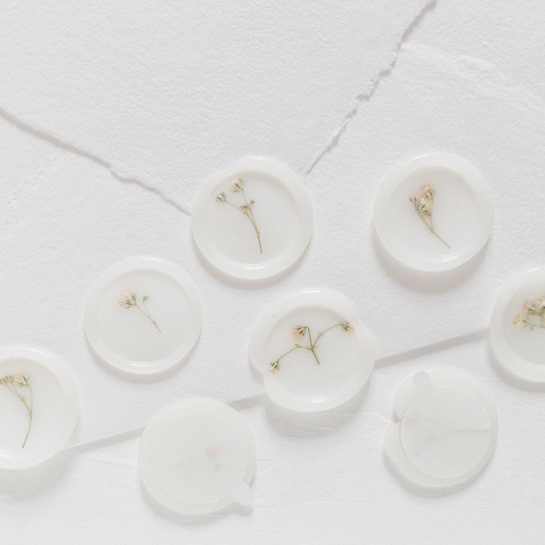 Baby's Breath (Gypsophila) Semi-Transparent Vellum Seals