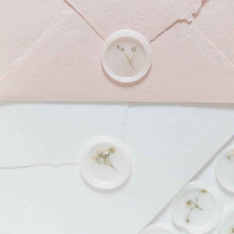 Baby's Breath (Gypsophila) Semi-Transparent Vellum Seals