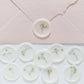 Baby's Breath (Gypsophila) Semi-Transparent Vellum Seals