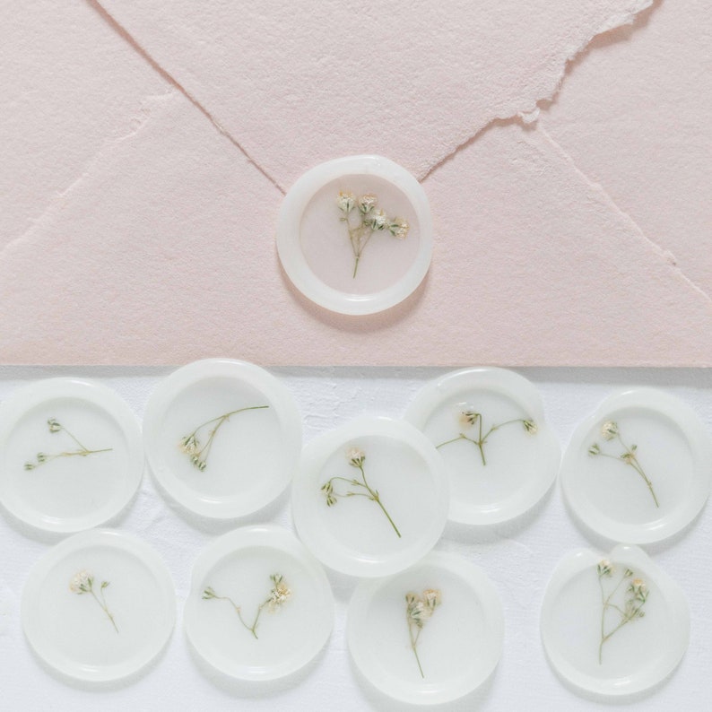 Baby's Breath (Gypsophila) Semi-Transparent Vellum Seals