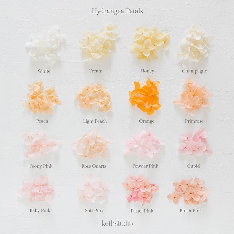 ✧ 50% OFF ✧ Dried Hydrangea Petals, 32 Colours