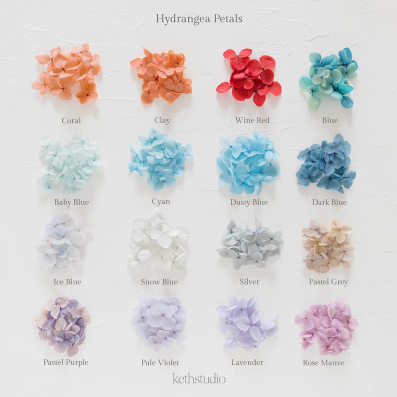 ✧ 50% OFF ✧ Dried Hydrangea Petals, 32 Colours