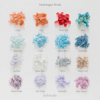 ✧ 50% OFF ✧ Dried Hydrangea Petals, 32 Colours