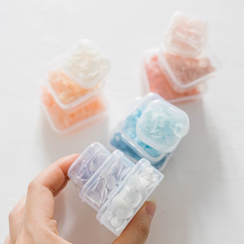 ✧ 50% OFF ✧ Dried Hydrangea Petals, 32 Colours