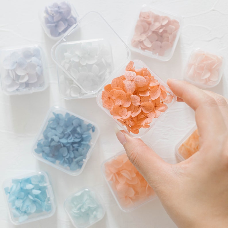 ✧ 50% OFF ✧ Dried Hydrangea Petals, 32 Colours