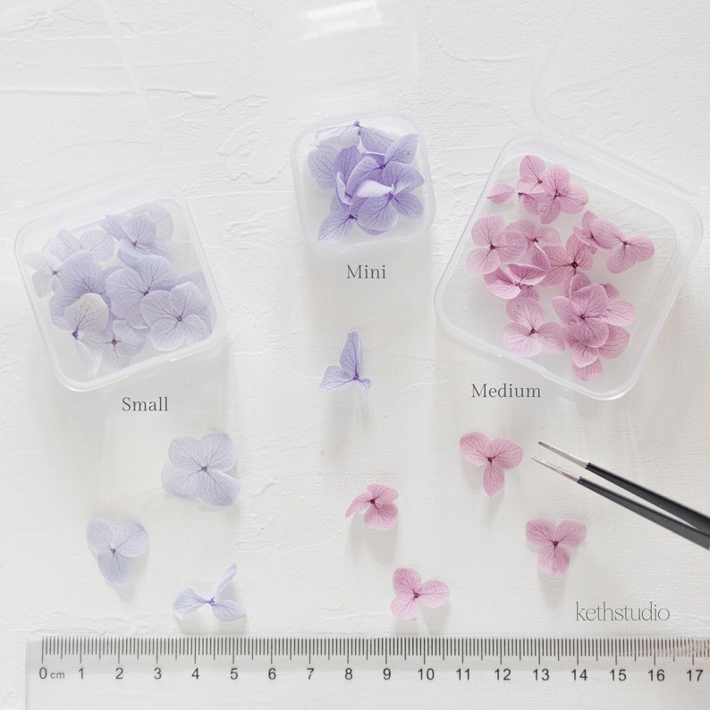 ✧ 50% OFF ✧ Dried Hydrangea Petals, 32 Colours