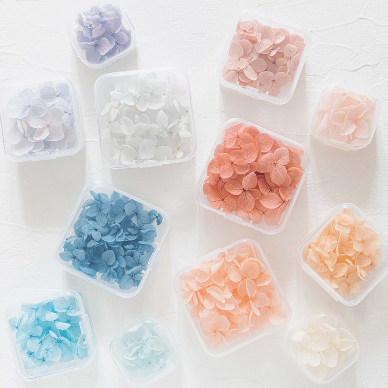 ✧ 50% OFF ✧ Dried Hydrangea Petals, 32 Colours